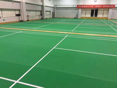羽毛球地膠,運(yùn)動塑膠地板,奧麗奇品牌