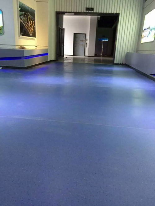 漣源塑膠地板工程造價(jià),pvc塑膠地板生產(chǎn)廠家