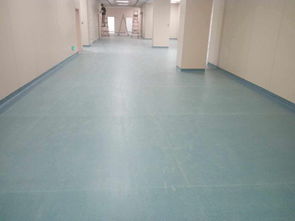 山東青島臨塑診所吸音塑膠地板潔福相似花色