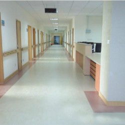 門診用pvc塑膠地板批發(fā) 門診用pvc塑膠地板批發(fā)價格 門診用pvc塑膠地板批發(fā)廠家