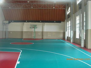 塑膠地板概述 類型、應(yīng)用與價格指南