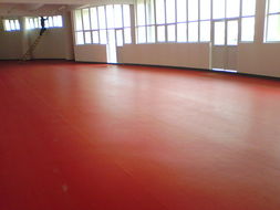 石家莊、唐山、秦皇島、邯鄲、邢臺PVC塑膠地板供應(yīng) 專業(yè)運動場地解決方案